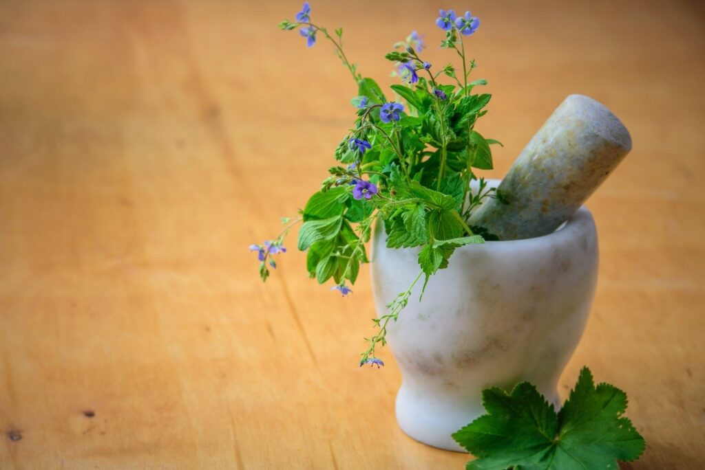 Aplicación para aprender a hacer remedios caseros con plantas 2024