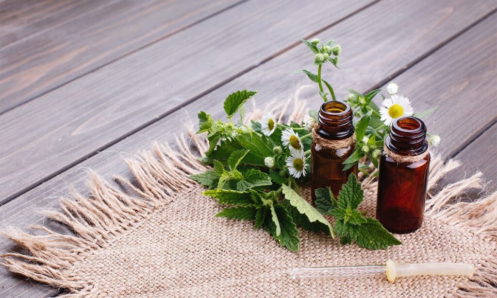 Aplicación para aprender a hacer remedios caseros con plantas 2024 | Aplicación para aprender a hacer remedios caseros con plantas 20242 1