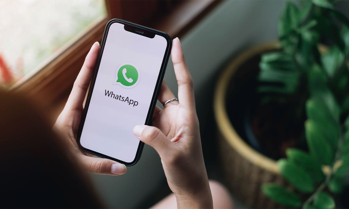 Cómo saber quién vio tus Estados en WhatsApp | Cómo saber quién vio tus Estados en WhatsApp2