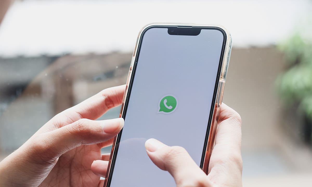 Descarga estas 5 aplicaciones y sé el rey de los stickers de WhatsApp | Descarga estas 5 aplicaciones y sé el rey de los stickers de WhatsApp2