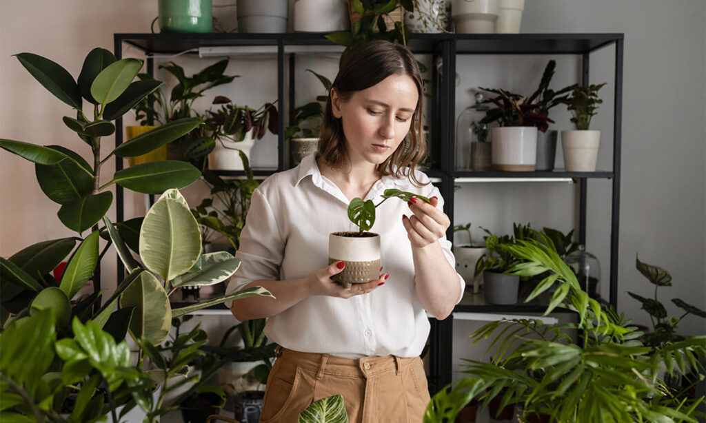 Aprende a cuidar mejor de tus plantas con este curso en línea gratuito | Aprende a cuidar mejor de tus plantas con este curso en línea gratuito1