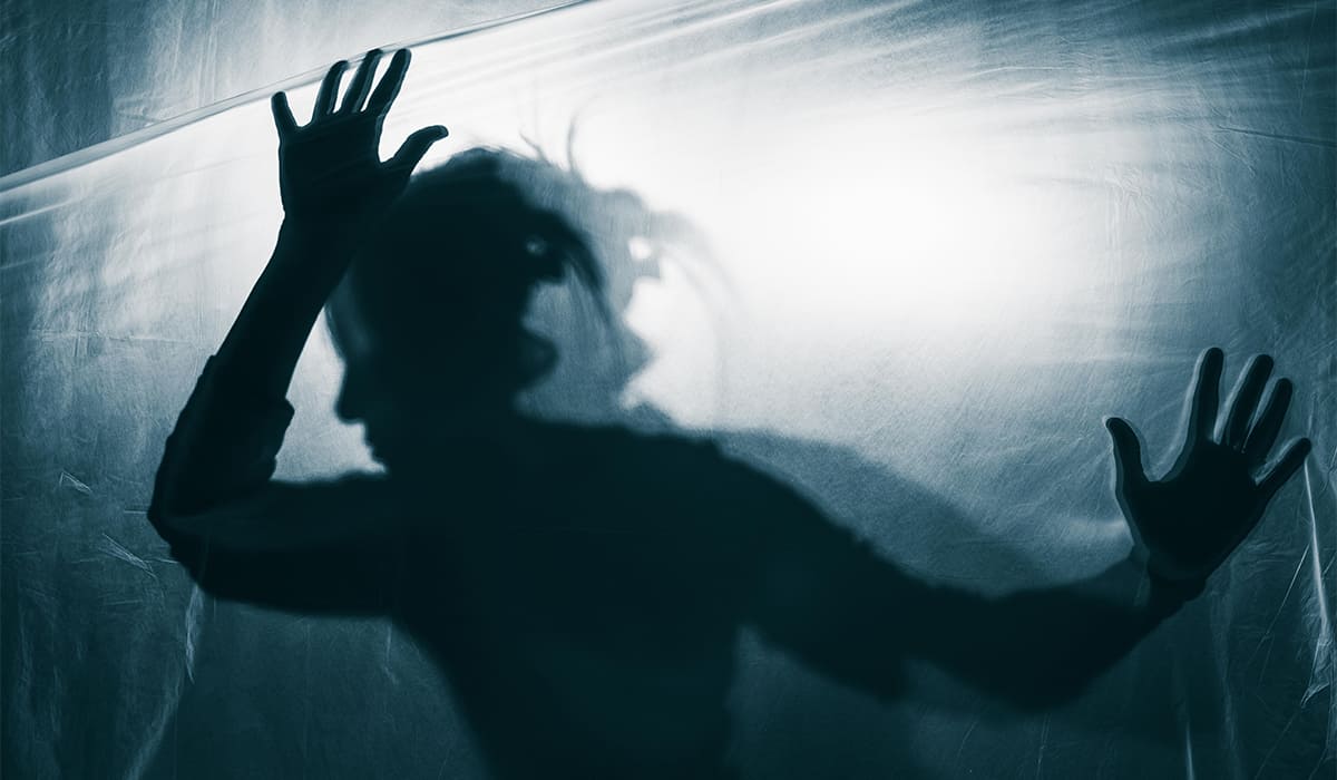 Cómo hacer una prueba de trauma por celular 2024 | Cómo hacer una prueba de trauma por celular 20241