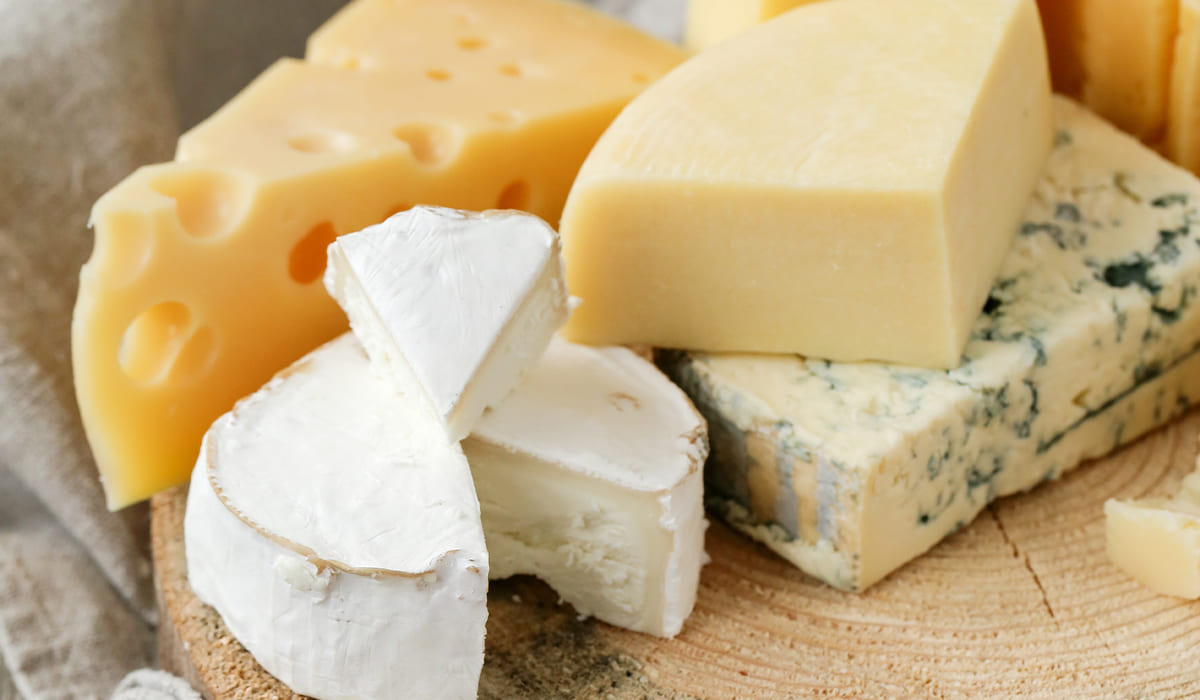 ¿Te gusta el queso? Conoce la aplicación para conocer todo sobre los tipos de queso | ¿Te gusta el queso Conoce la aplicación para conocer todo sobre los tipos de queso2