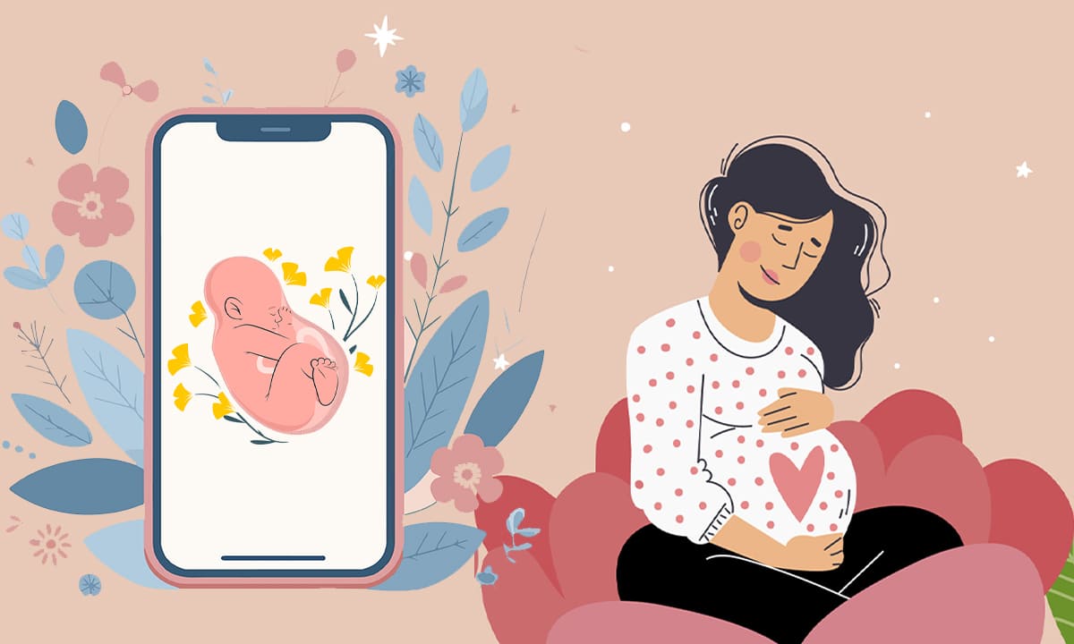 Aplicación Mi Embarazo - Monitorea tu embarazo por el celular | Aplicación Mi Embarazo Monitorea tu embarazo por el celular3