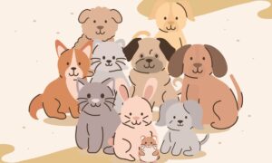 CURP para mascotas CDMX: cómo solicitar en línea 2024 | CURP para mascotas CDMX cómo solicitar en línea 20243