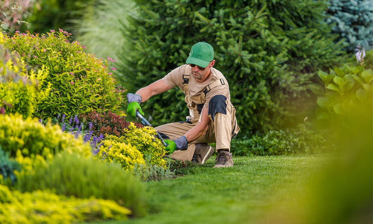 Curso gratis de jardinero en gran escala: cómo registrarte | Curso gratis de jardinero en gran escala cómo registrarte1 1