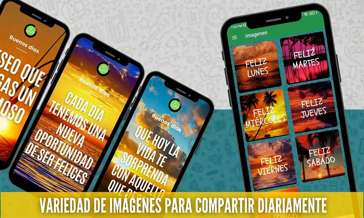Aplicación con frases y estados para WhatsApp 2024 | Aplicación con frases y estados para WhatsApp 20243 1