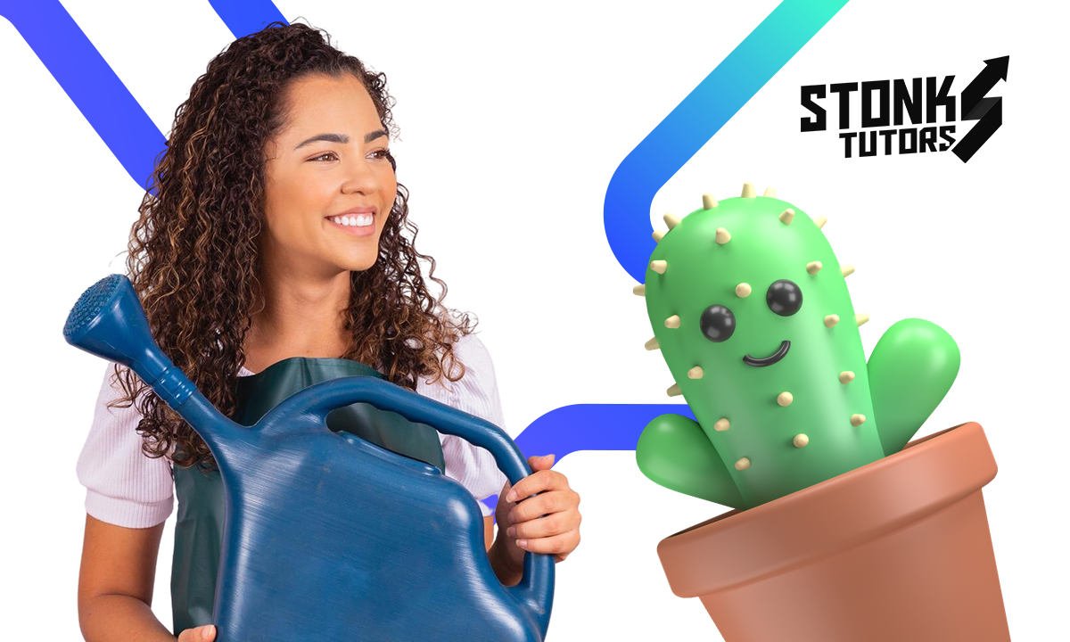 7 Plantas de interior más buscadas y cómo cuidarlas en casa 1 Plantas de interior más buscadas
