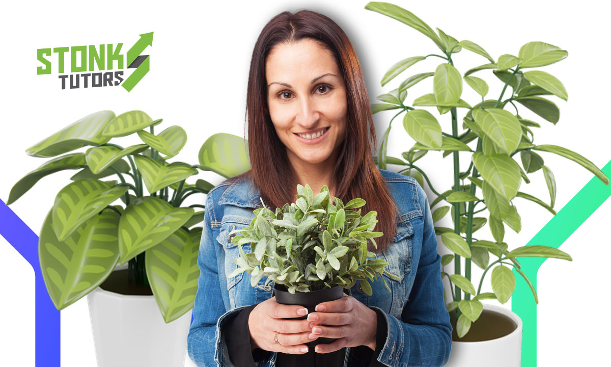 ¿Cómo crear un rincón verde en casa con plantas fáciles de cuidar? 1 Crear un rincon ver en casa