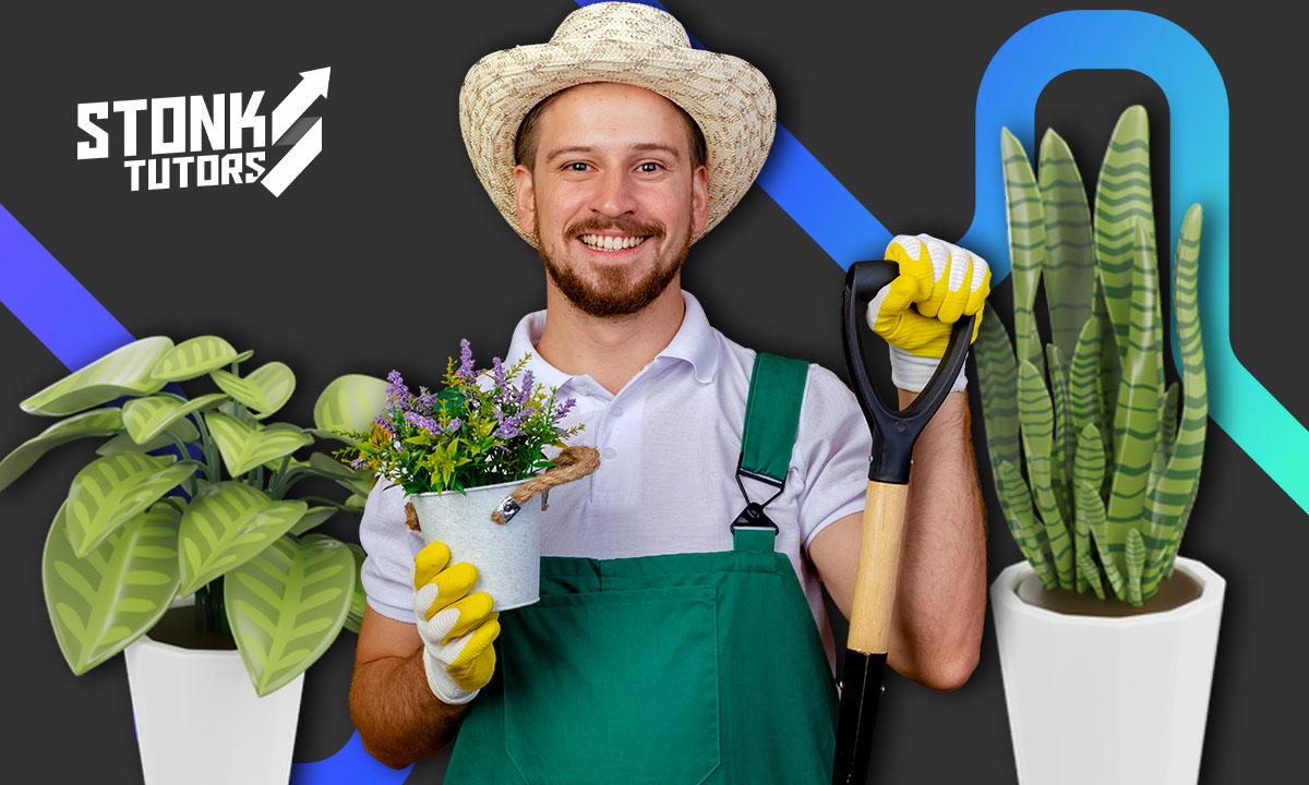 Guía para mantener tus plantas saludables todo el año sin complicaciones 1 Plantas saludables todo el año