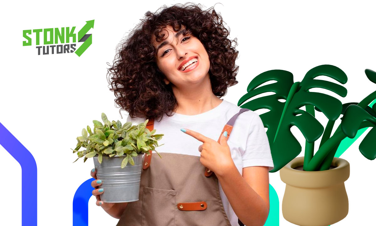 Aplicación para identificar plantas con la cámara del celular: fácil y rápido para 2025 1 Identificar plantas con la cámara del celular