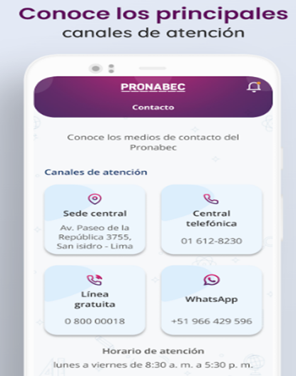 Guía para pedir becas para hijos desde el celular en Perú 5 Becas para hijos